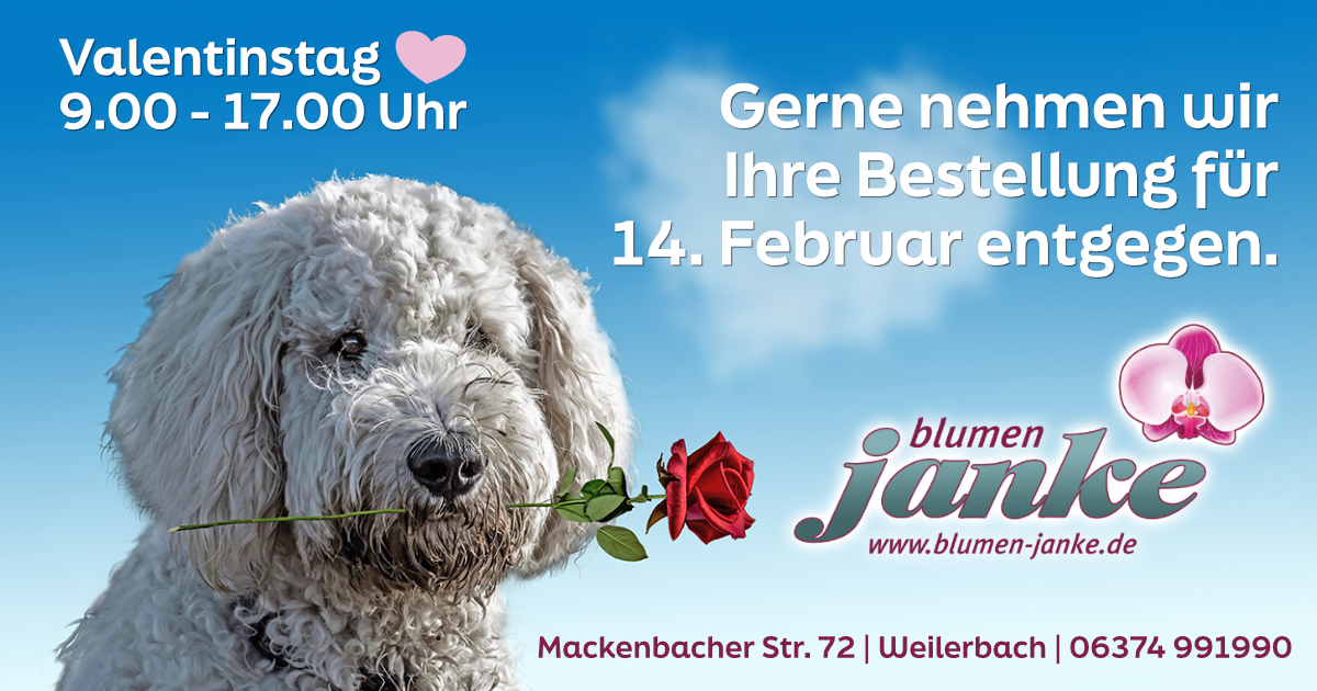 Blumen Janke Weilerbach